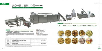 新款休闲膨化食品生产设备